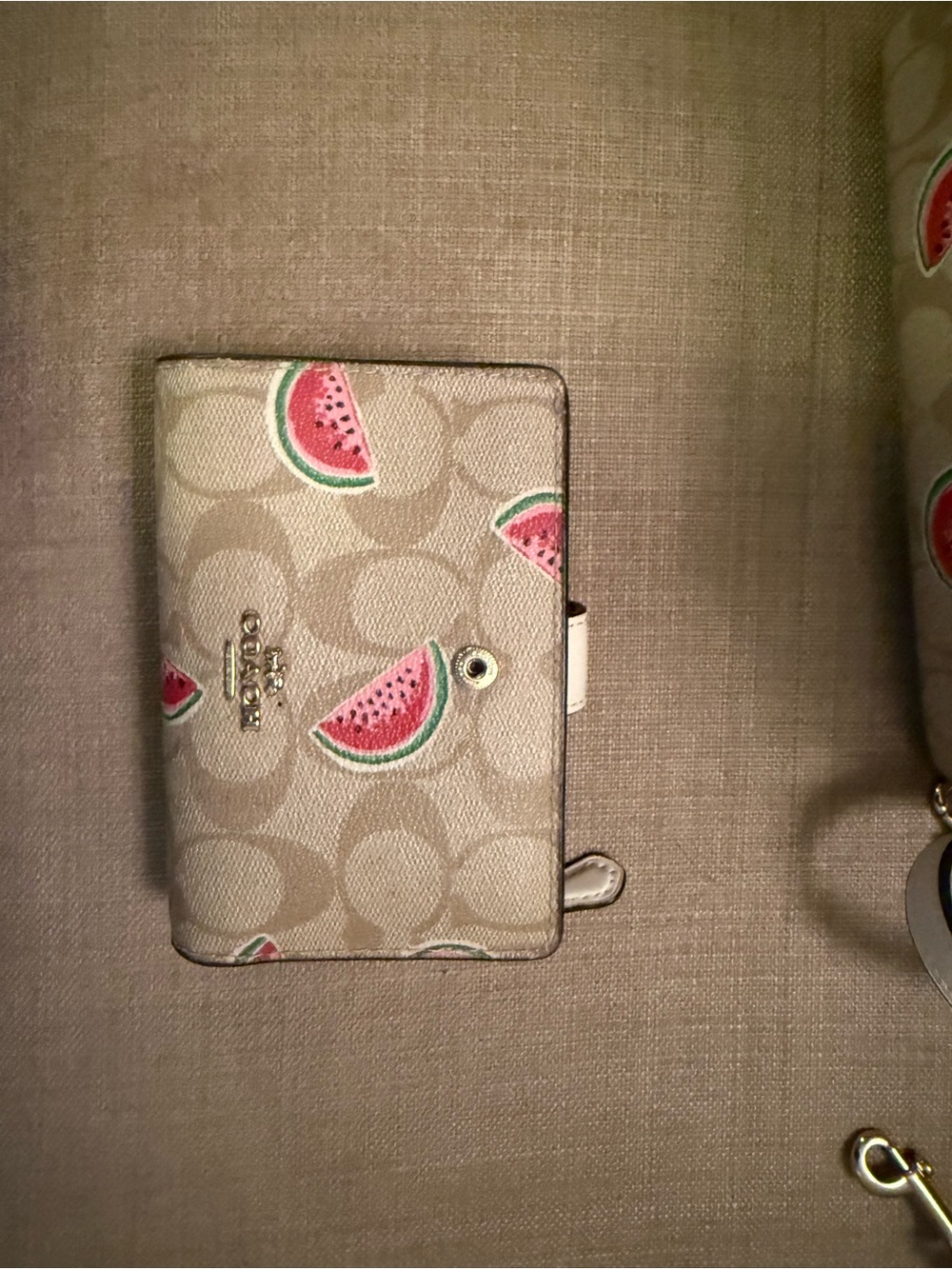 Coach Beige Signature Canvas Crossbody with Watermelon Print and White Strap and - Picture 2 of 9